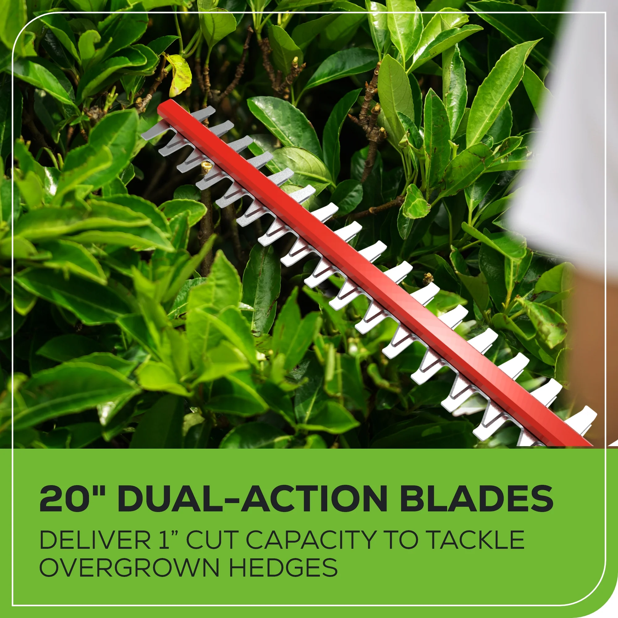 40V 8" Cordless Battery Pole Saw and Hedge Trimmer Attachment: 2.0 Ah Battery and Charger - Image 9