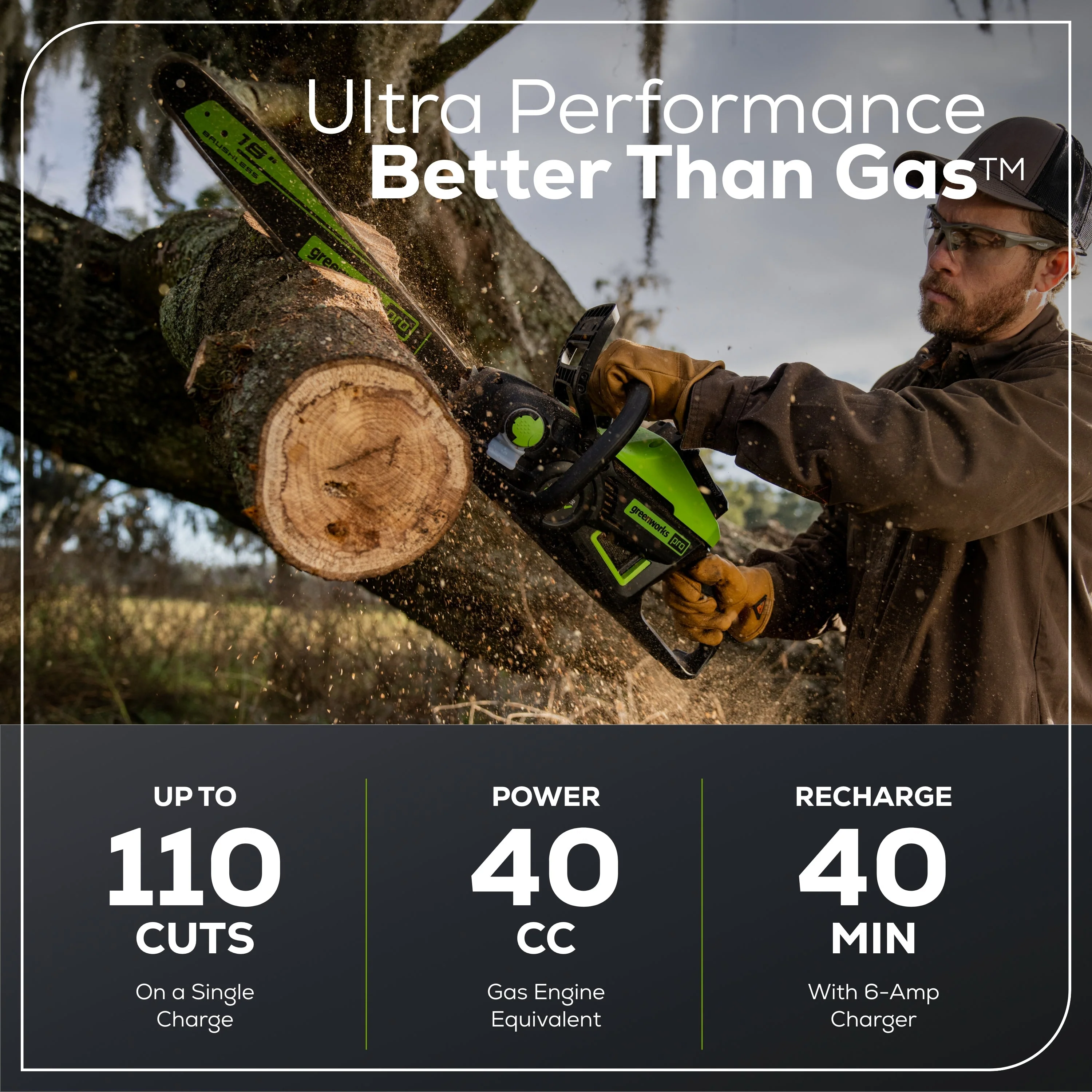 60V 18" Cordless Battery 2.0 kW Chainsaw and 24V 6" Pruner Saw, (1) 4.0 Ah Battery: (1) 2.0 Ah Battery and (2) Chargers - Image 5