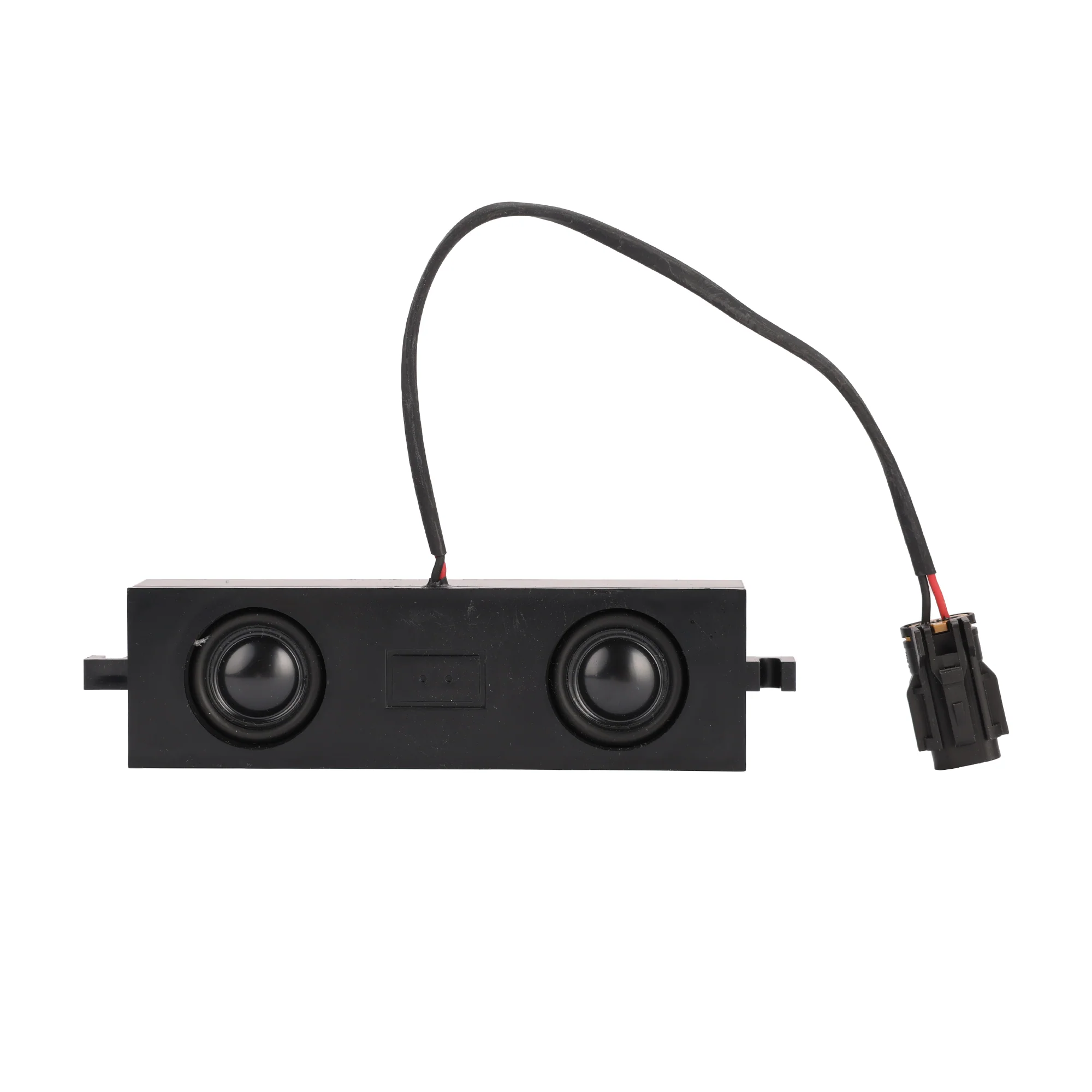 Speaker - Image 2